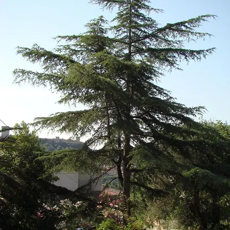 Alvures Apartamento